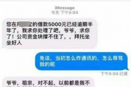 长岭为什么选择专业追讨公司来处理您的债务纠纷？